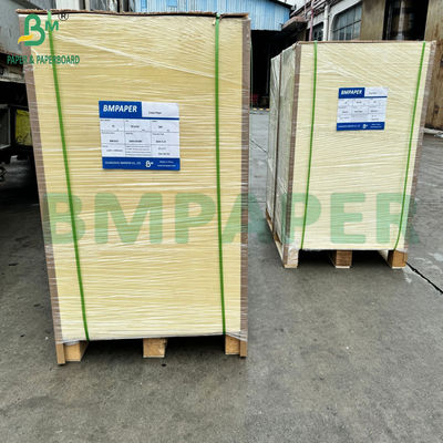 PE Coated Cupstock Paper Suitable for Hot and Cold Food Beverage