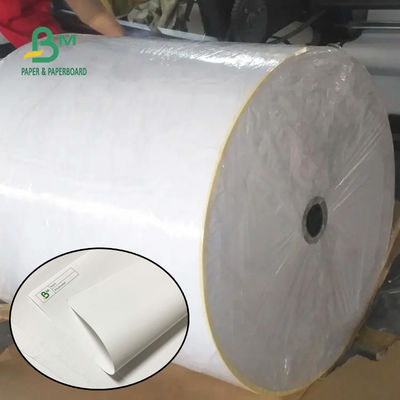 55gsm 790mm 795mm Receipt Thermal Paper Jumbo Roll