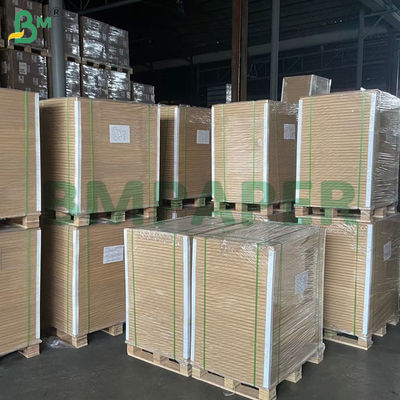 Heat Resistance Food Safety Greaseproof Paper for Wrapping