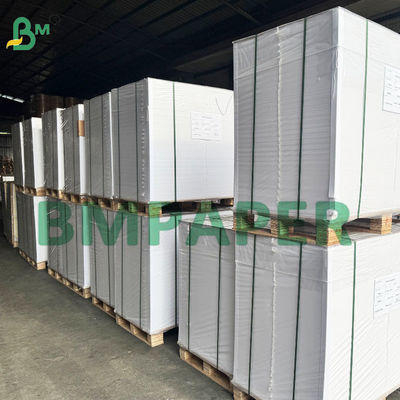 Oven Safe High Temperature Resistant Silicone Paper for Food Wrapping