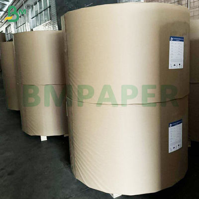 Frozen Food Box Cardboard Single Side PE Coating For Pizza and Desserts