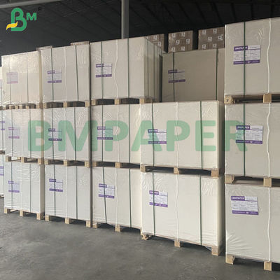 240g White Cup Paper 100 % Wood Pulp And Uncoated For Cup