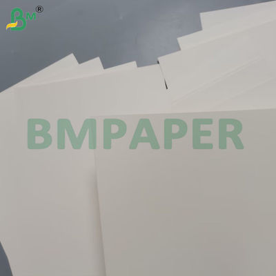 240g White Cup Paper 100 % Wood Pulp And Uncoated For Cup