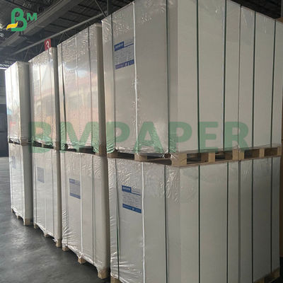 240g White Cup Paper 100 % Wood Pulp And Uncoated For Cup