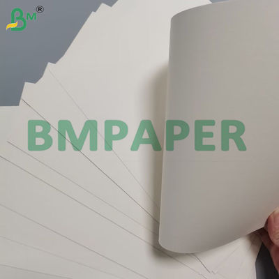 190g Bowl Paper 100 % Virgin Wood Pulp Custom Coated For Paper Bowl