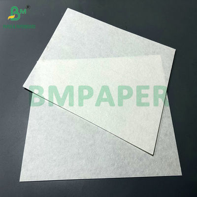 920MM Large Roll 50gram Pure Wood Pulp Coffee Filter Paper Roll To Coffee Machine