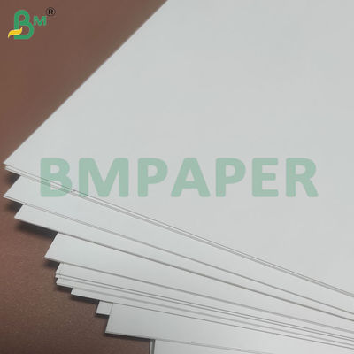 135-350 GSM High Stiffness Food Container Paper Roll for Paper Bowl