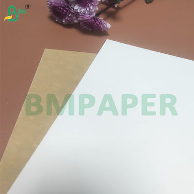 135-350 GSM High Stiffness Food Container Paper Roll for Paper Bowl