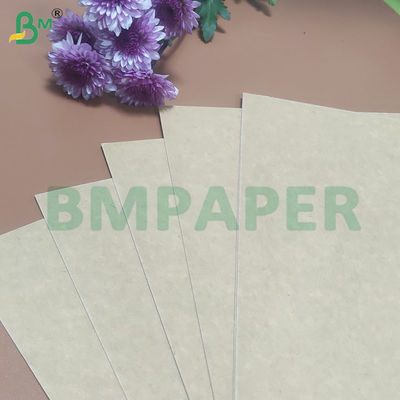 135-350 GSM High Stiffness Food Container Paper Roll for Paper Bowl
