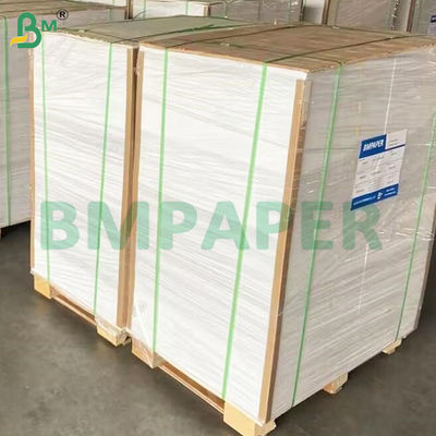 135-350 GSM High Stiffness Food Container Paper Roll for Paper Bowl