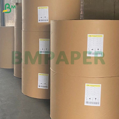 210g + 15g PE Coated Bowl Paper Food Grade Virgin Wood Pulp