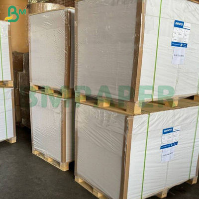180g + 15g PE Cup Stock Paper Signle Side Coated Board Waterproof High Folding Resistant