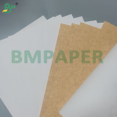 210g  230g One Side Coated Food Board Food Grade Virgin Wood Pulp