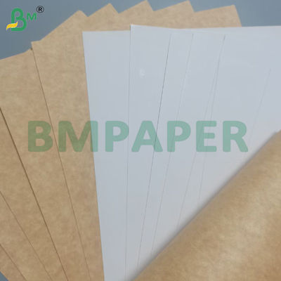 215 - 350g One Side Coated Food Grade Bleach Card 770 * 1100mm