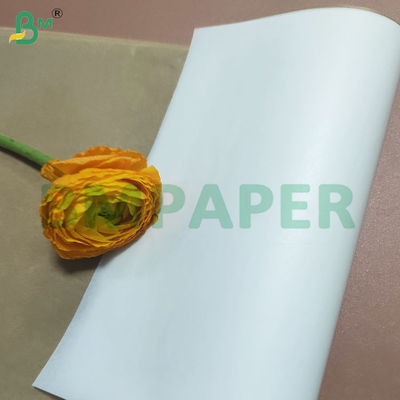 Recyclable Double Side Silicone Coated Cooking Paper Sheets