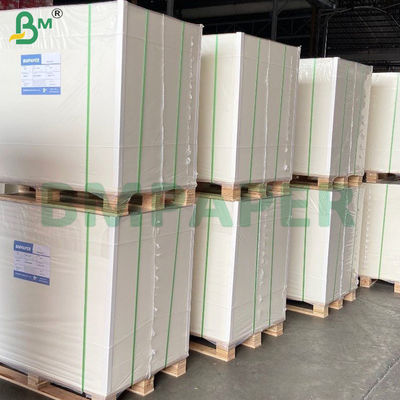 Recyclable Double Side Silicone Coated Cooking Paper Sheets