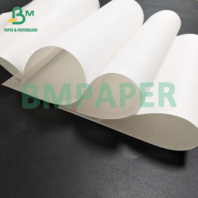 120 Grams White Kraft Paper Density In Roll 70 Centimeters For Kraft Bags