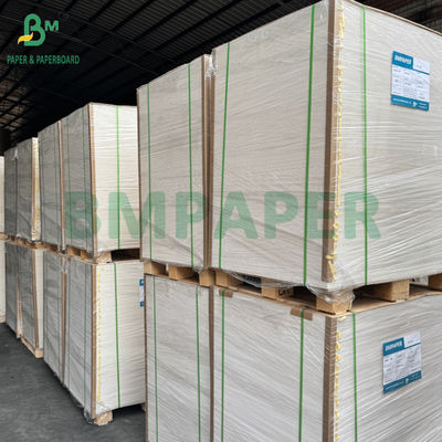 255gsm + 15g PE Coated Frozen Food Grade Paper For Supermarket Moisture Proof