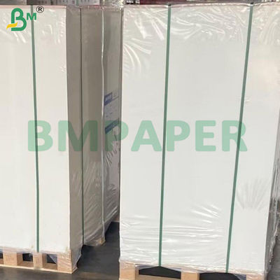 350g Coated Container Board C1S Food Grade Virgin Wood Pulp Card
