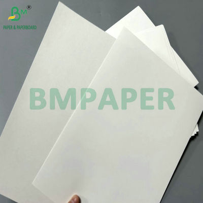 300g 350g White Coated Folding Carton Board For High End Printing 65 X 90cm