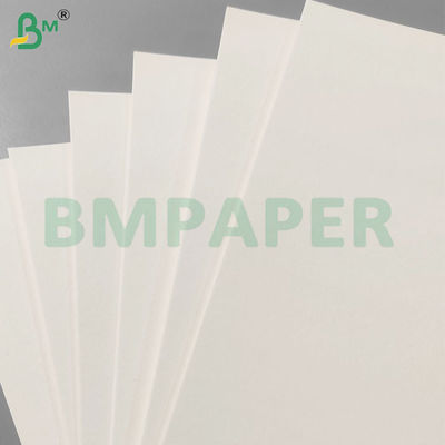 Wood Pulp Moisture Absorbing Paper Sheets for Coasters and Hangtags