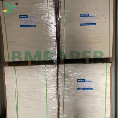 80gsm Cupcake Muffin Liner Baking Paper Food Grade 80 * 100cm