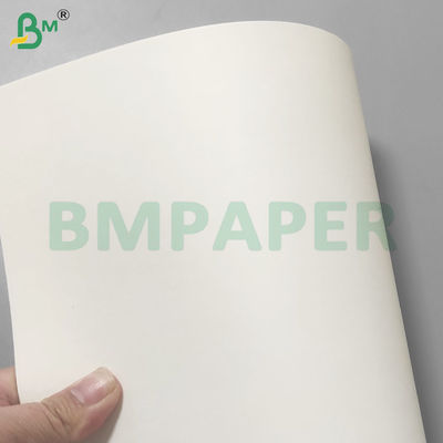 PE Coated Leak-Proof Cup Stock Paper Rolls For Drinking 190gsm+10gsm