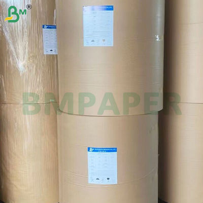 PE Coated Leak-Proof Cup Stock Paper Rolls For Drinking 190gsm+10gsm