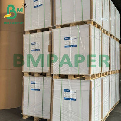 210g + 15g Double Side PE Coated Paper Cup Stock Board Food Grade Sheets
