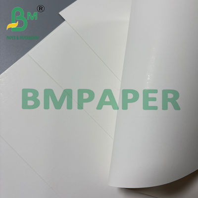 250gsm Natural White Cardboard Folding Box Board FBB SBS 70 * 100cm