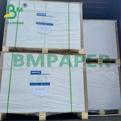 200g Bowl Base Paper 100 % Virgin Wood Pulp Single Side PE Coated Board