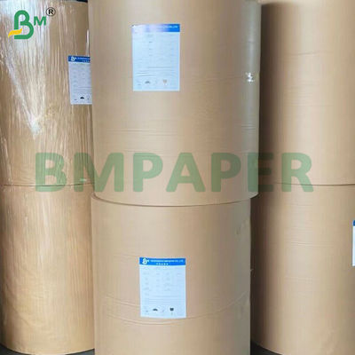 Smooth Surface PE Coated Bowl Paper for Sustainable Food Packaging