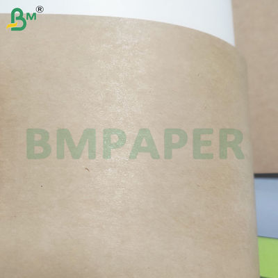 PE Coated High Stiffness Leak Resistant Food Container Paper Sheets