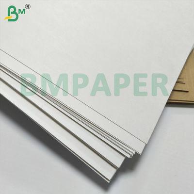BMPAPER Liquid Proof White &amp; Brown Cupstock Paper Laminated With PE Coating
