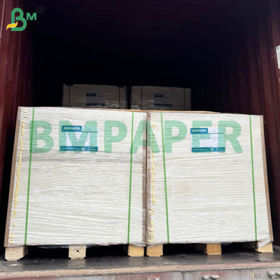 BMPAPER Liquid Proof White &amp; Brown Cupstock Paper Laminated With PE Coating