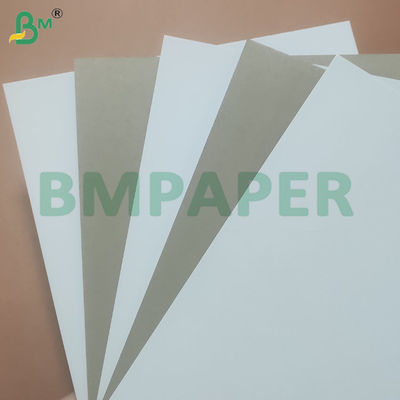 White Coated Grey Back Paper Duplex Cardboard For Making Boxes