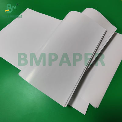80gsm 120gsm C1S Gloss Coated Art Paper For Label Good Printability 70 x 100cm
