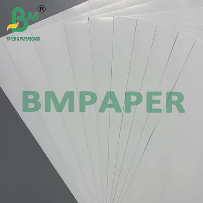 120grams C1S Coated Art Paper Glossy Label Board Roll 70 * 100cm