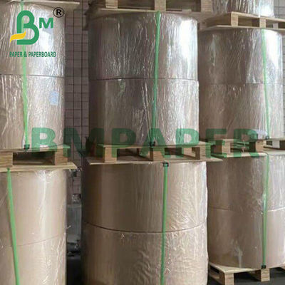 120grams C1S Coated Art Paper Glossy Label Board Roll 70 * 100cm