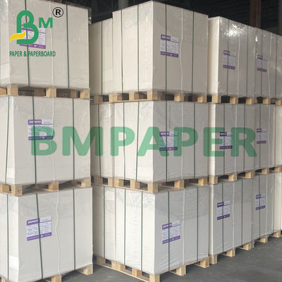 200um Double Coated PET Synthetic Paper For Business Cards 70 * 100cm