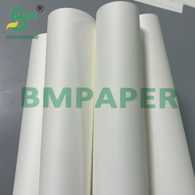 200um Double Coated PET Synthetic Paper For Business Cards 70 * 100cm