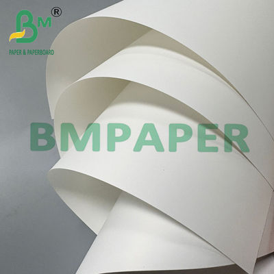 200um Double Coated PET Synthetic Paper For Business Cards 70 * 100cm