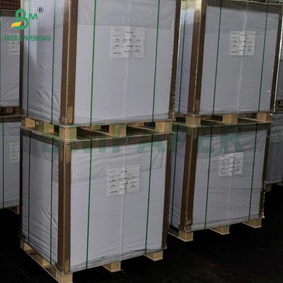 1 Side PE Coated Paper White Kraft Paper 40g + 10g Size 36 X 25 Inches