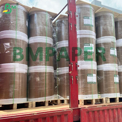 Single - Sided White Kraft PE Paper High Quality For Food Packaging