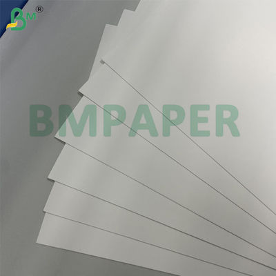215g 235g Food Safety One Side Coated Food Board For Food Packaging