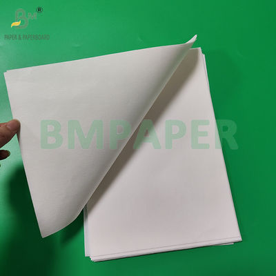50gsm 328mm White And Brown Food Grade Coffee Filter Residue Paper Roll