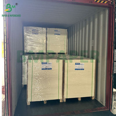 0.5mm Coated White Absorbent Paper 275g + 15g PE Matt Coating One Side