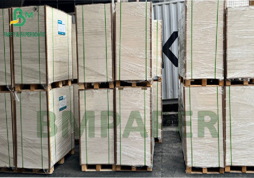 300g 350g 900mm 1000mm Coated Foodgrade SBS Paper For Food Package Box
