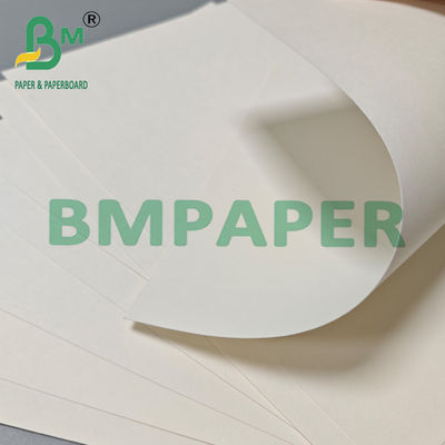 210gsm 230gsm Biodegradable Hot Coffee Tea Cup Paper Raw Material