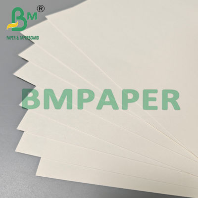 210gsm 230gsm Biodegradable Hot Coffee Tea Cup Paper Raw Material